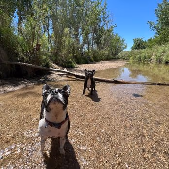 Cherry Creek State Park Dog Off-Leash Area (DOLA)
